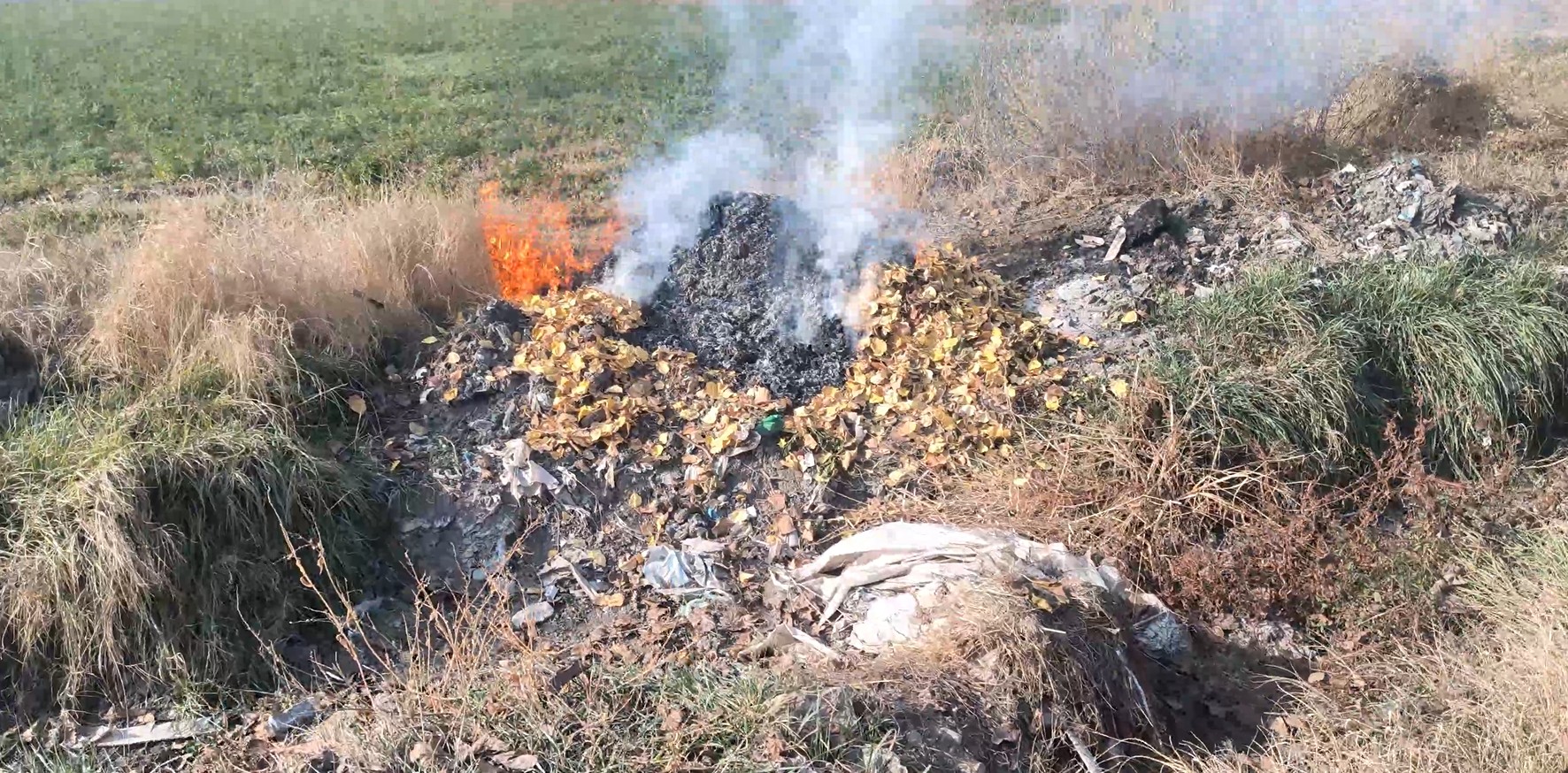 ապօրինի այրման դեպքեր