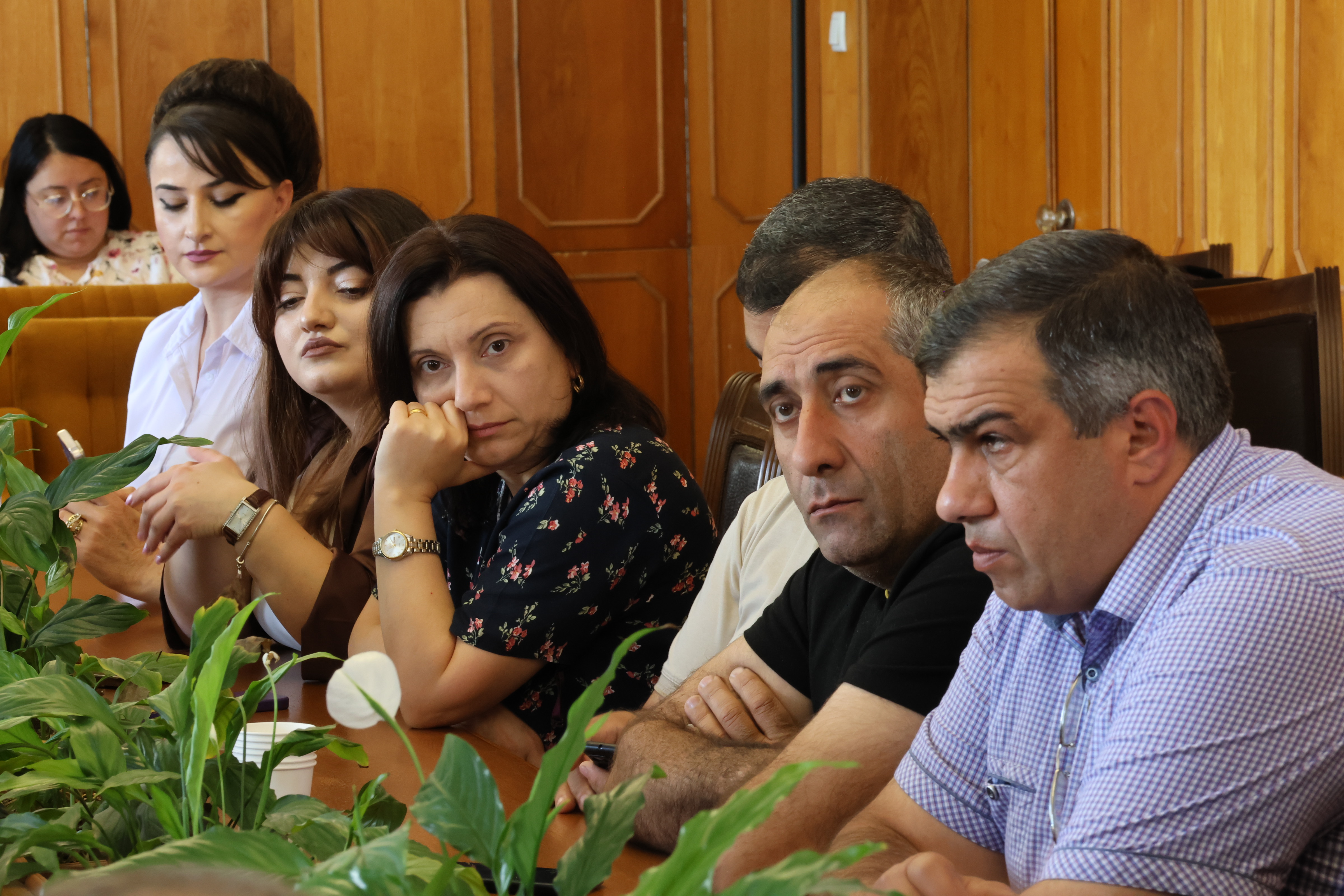 հանդիպումներ