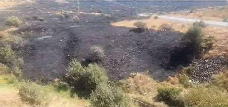 վառված խոտածածկ