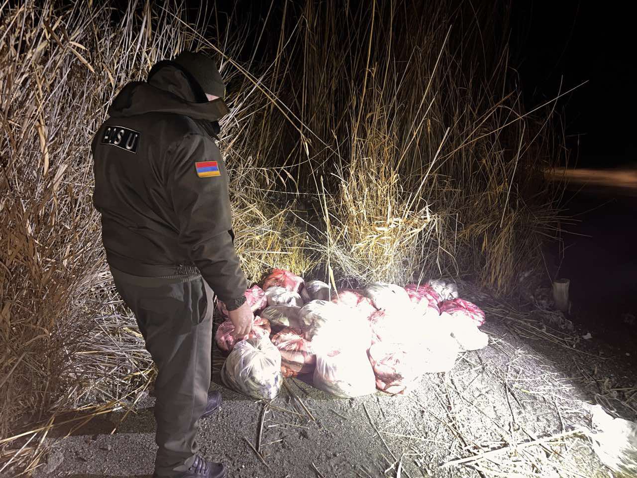 «Սիգ» տեսակի ձուկ
