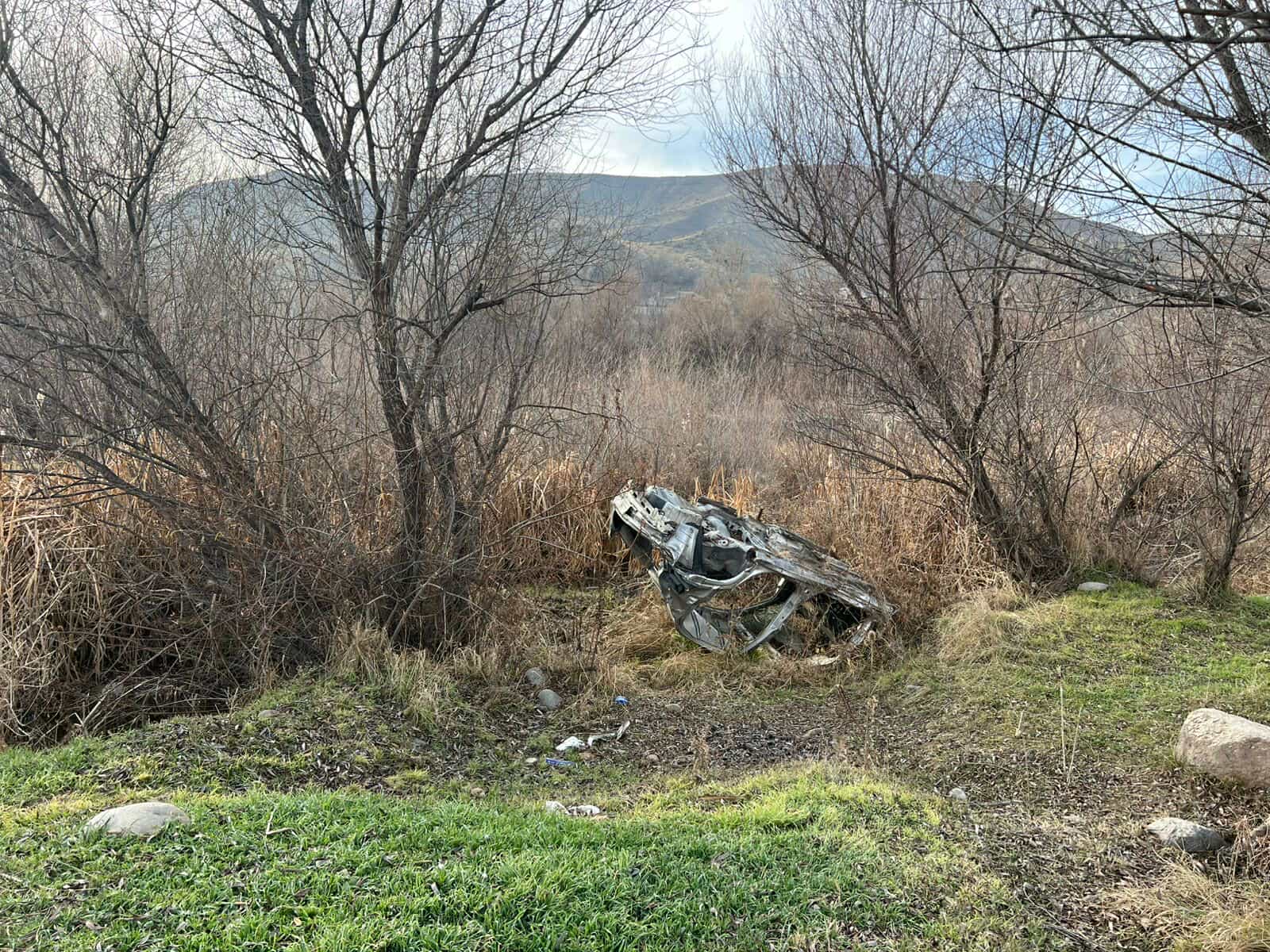 ջարդոններ